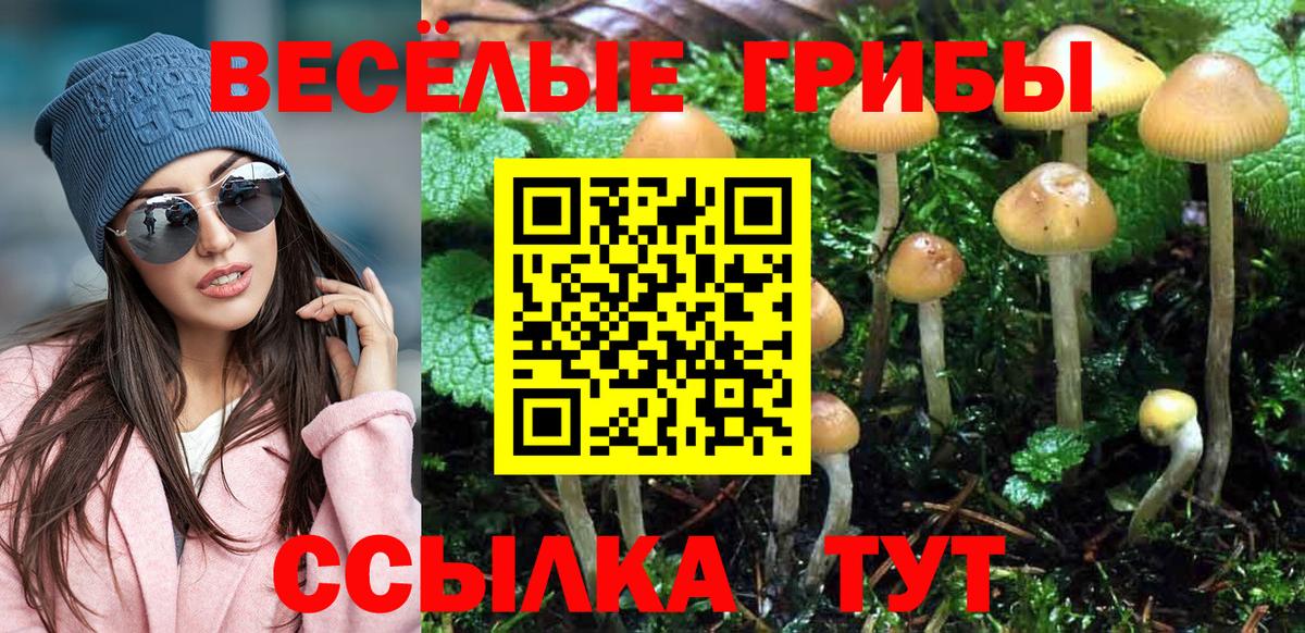 Губкинский  Галлюциногенные грибы мухоморы  Вход с VPN 